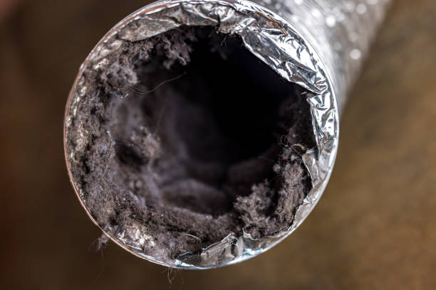 Best Emergency Air Duct Cleaning  in Radford, VA